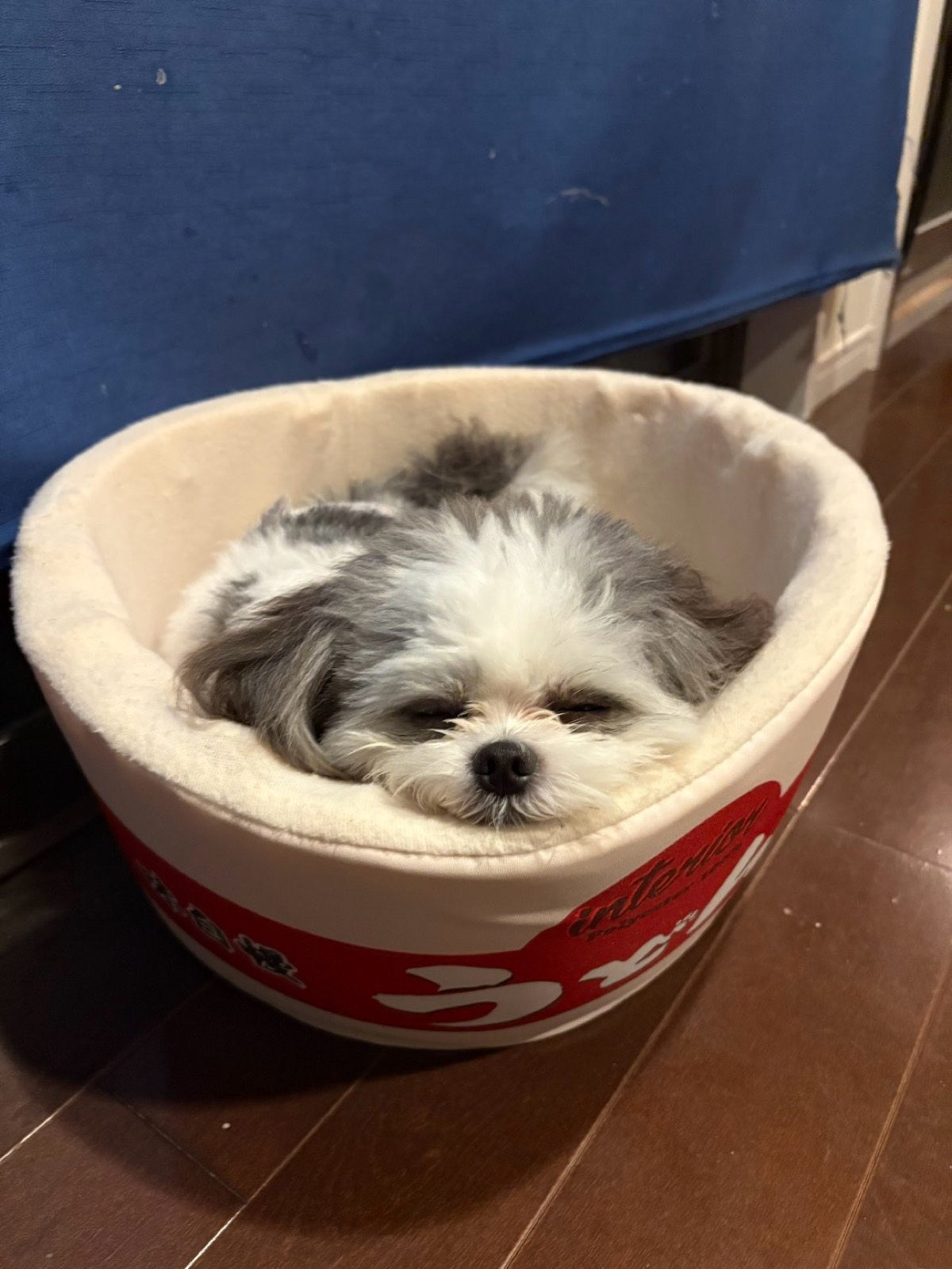 ベッドで眠るもふる